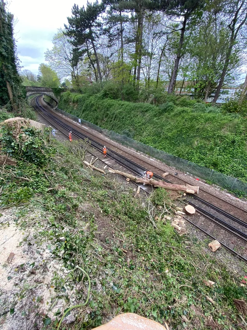 Emergency tree works in Maidstone - Faggs Forestry emergency tree surgeon response