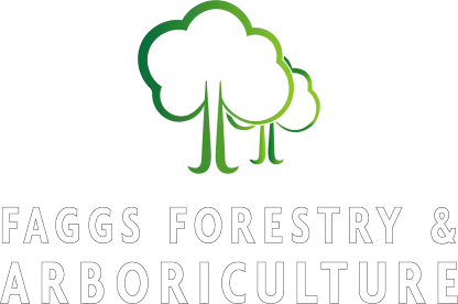 Faggs Forestry and Arboriculture