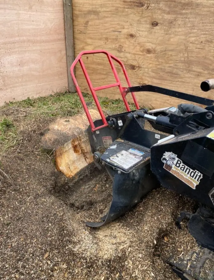 Tree Removal Services