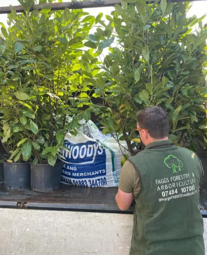 Tree Planting Services